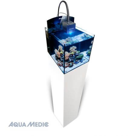 Aqua Medic Blenny