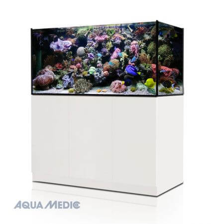Aqua Medic Xenia zee-aquariums