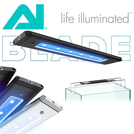 D-D AI BLADE LED verlichting & onderdelen
