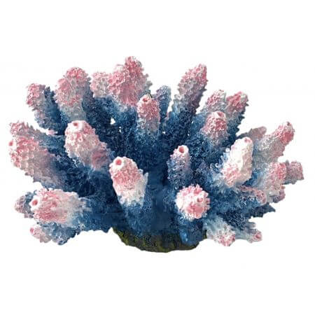  Kunstkoraal Acropora Blauw Roze 