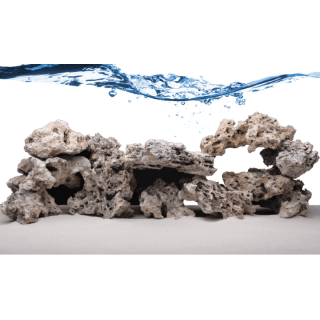 Fiji Skeleton Rock - ronde stukken (dood) levend steen (10KG)
