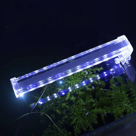 Glasheldere Crystal clip-on LED lamp D10 (4W)