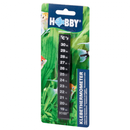 Hobby LCD thermometer