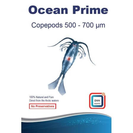 Ocean Prime Copepods 500 – 700 μm