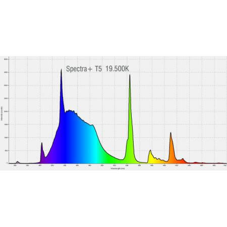 Pacific Sun SpectraPlus 19500K (CrystalBlue + ondiep water mix) 24w