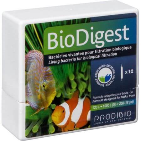 Prodibio Biodigest 6 Amp