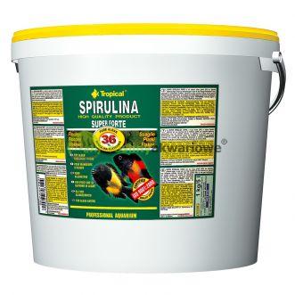 Tropical Super Spirulina Forte 36% - 5 ltr. (vlokvoer)