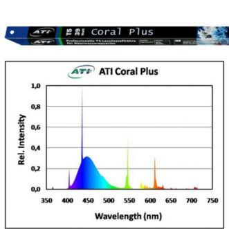 T5 TL 24 watt - Coral plus - ATI