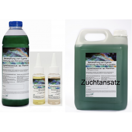 Kweekpakket - Plankton24 - Synechococcus met bemesting - 1 Liter