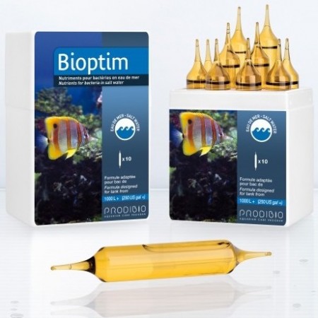 Prodibio Bioptim PRO 10 Ampullen