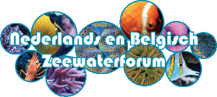Zeewaterforum.info logo