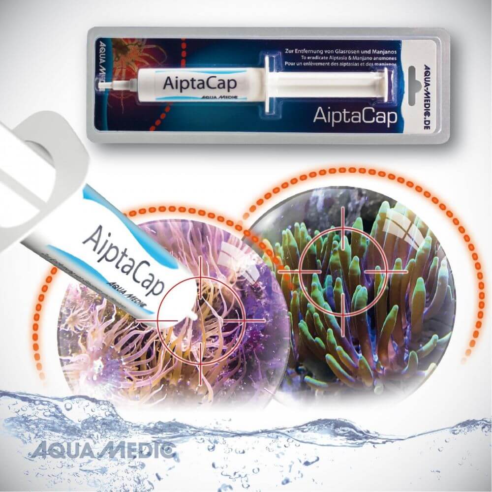 Aqua Medic aiptacap 40 g