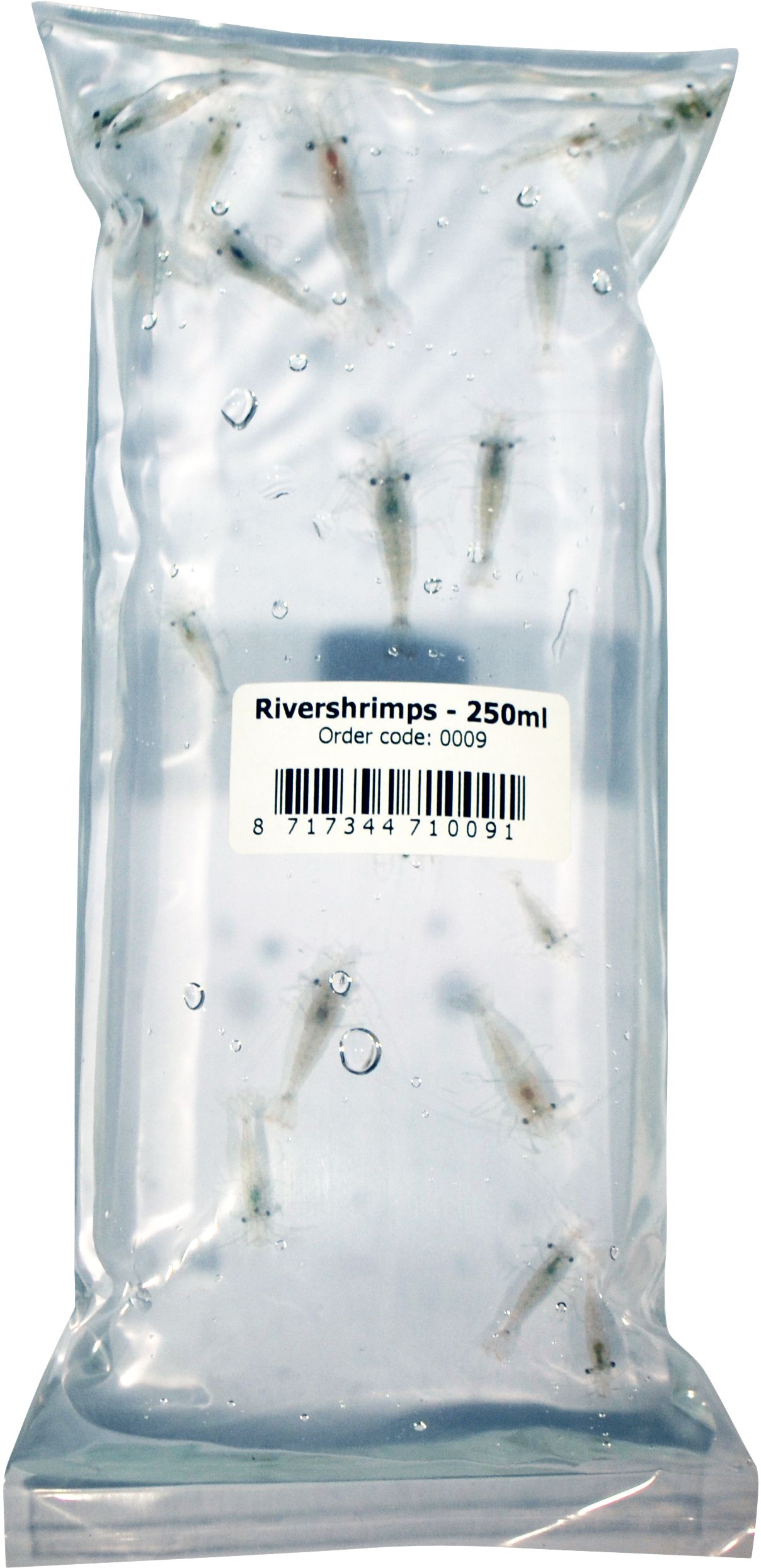 AQUADIP River shrimps