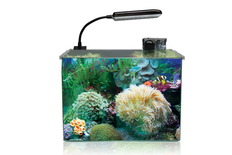 Aquarium COCOON LED 4 (15,5 L) 31x19x26H