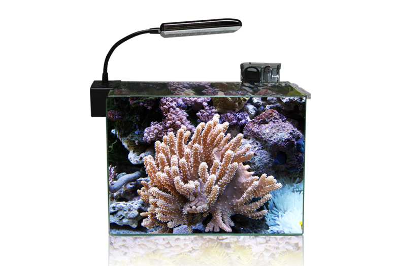 Aquarium COCOON LED 5 (21,5 L) 35x22x28H