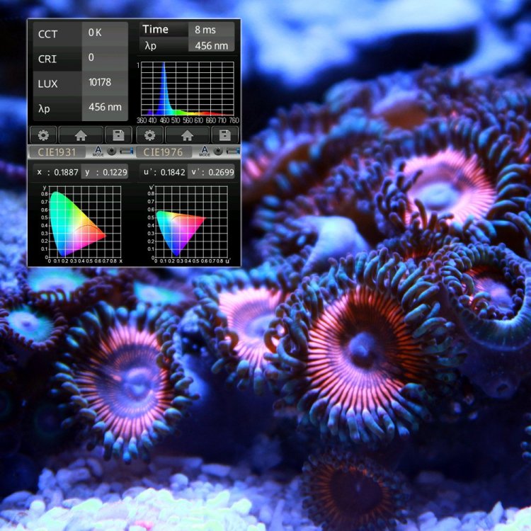 Asta 20 Nano zeeaquarium LED verlichting