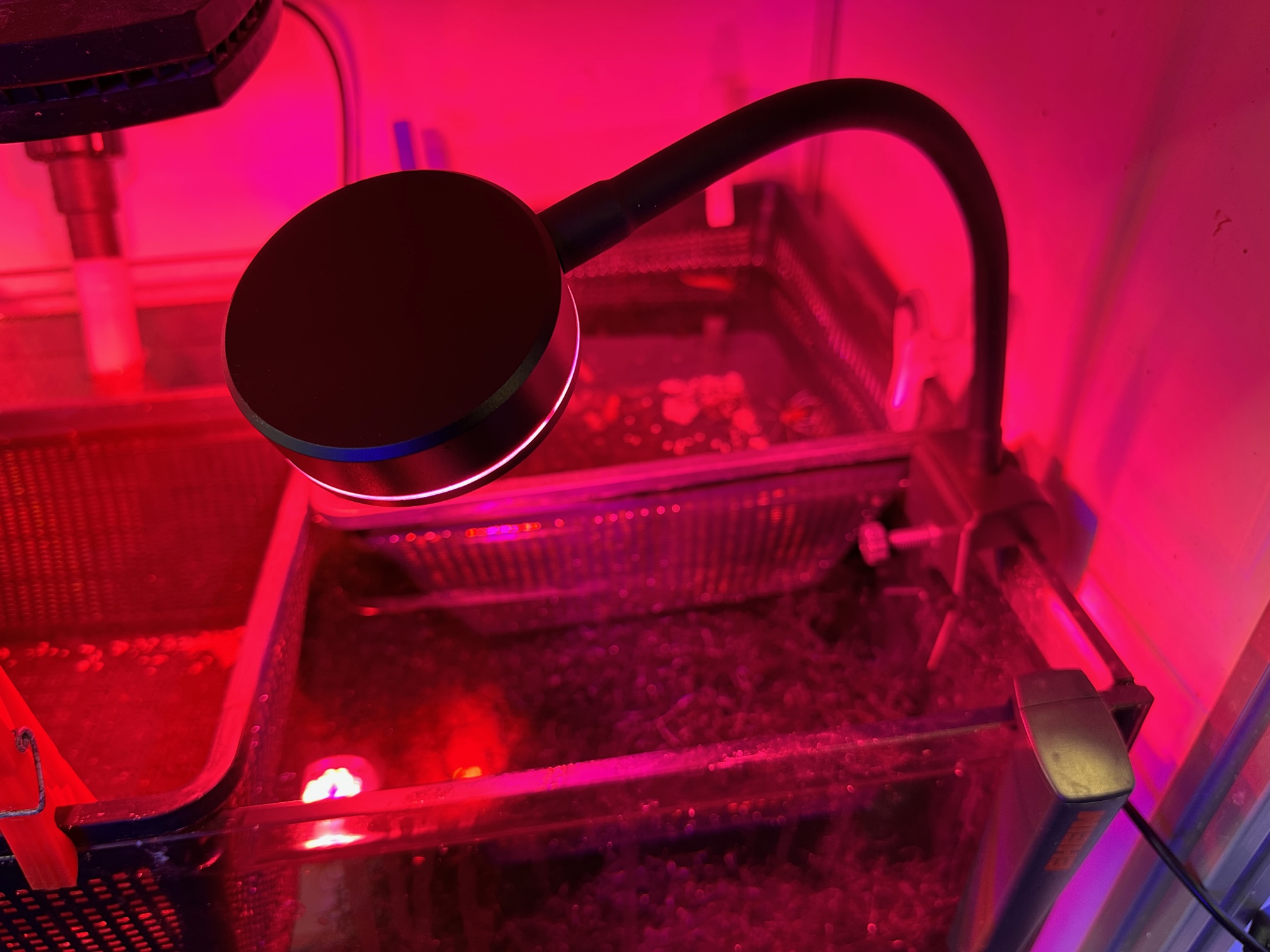 Coral Box Q2 Refugium LED lamp