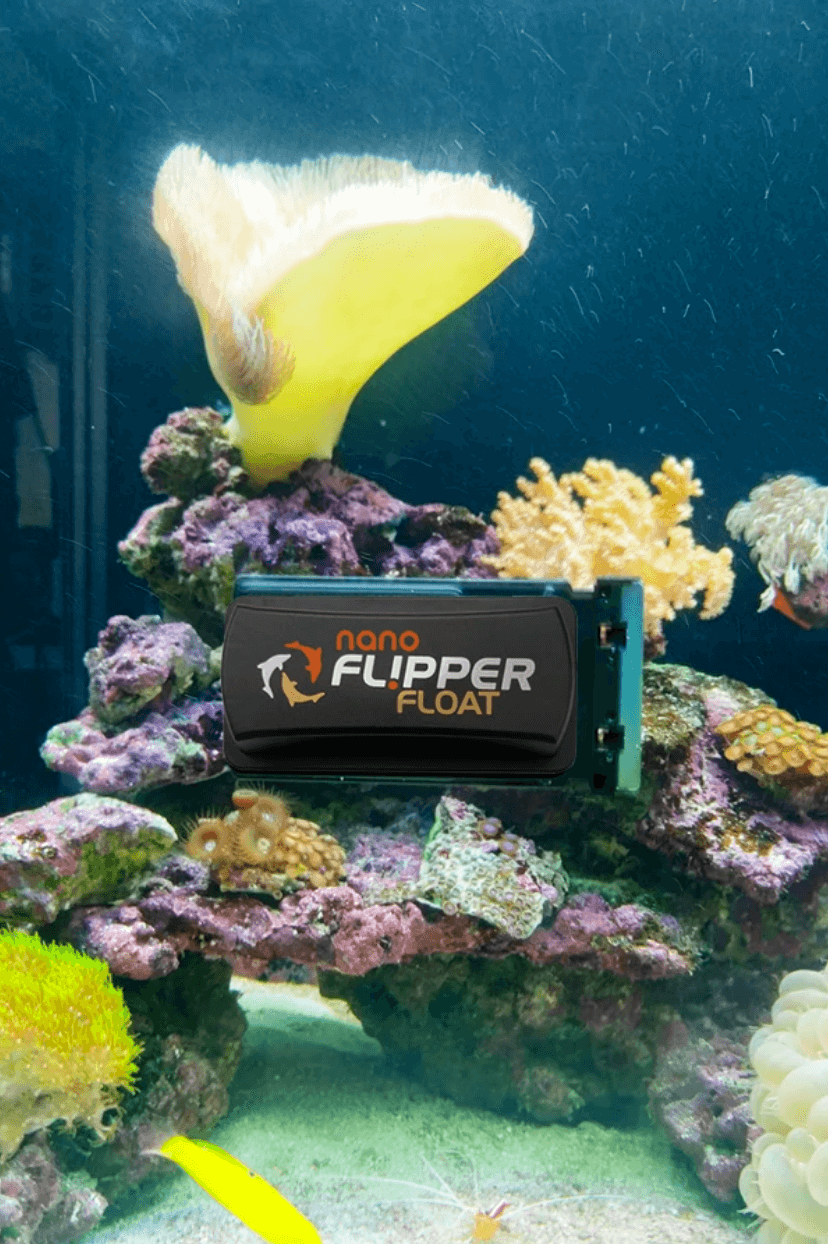 Flipper Cleaner Nano FLOAT