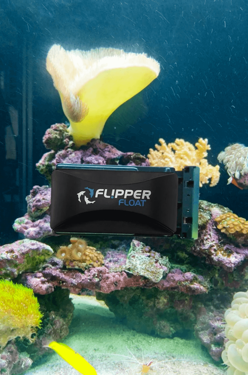 Flipper Cleaner Standard FLOAT