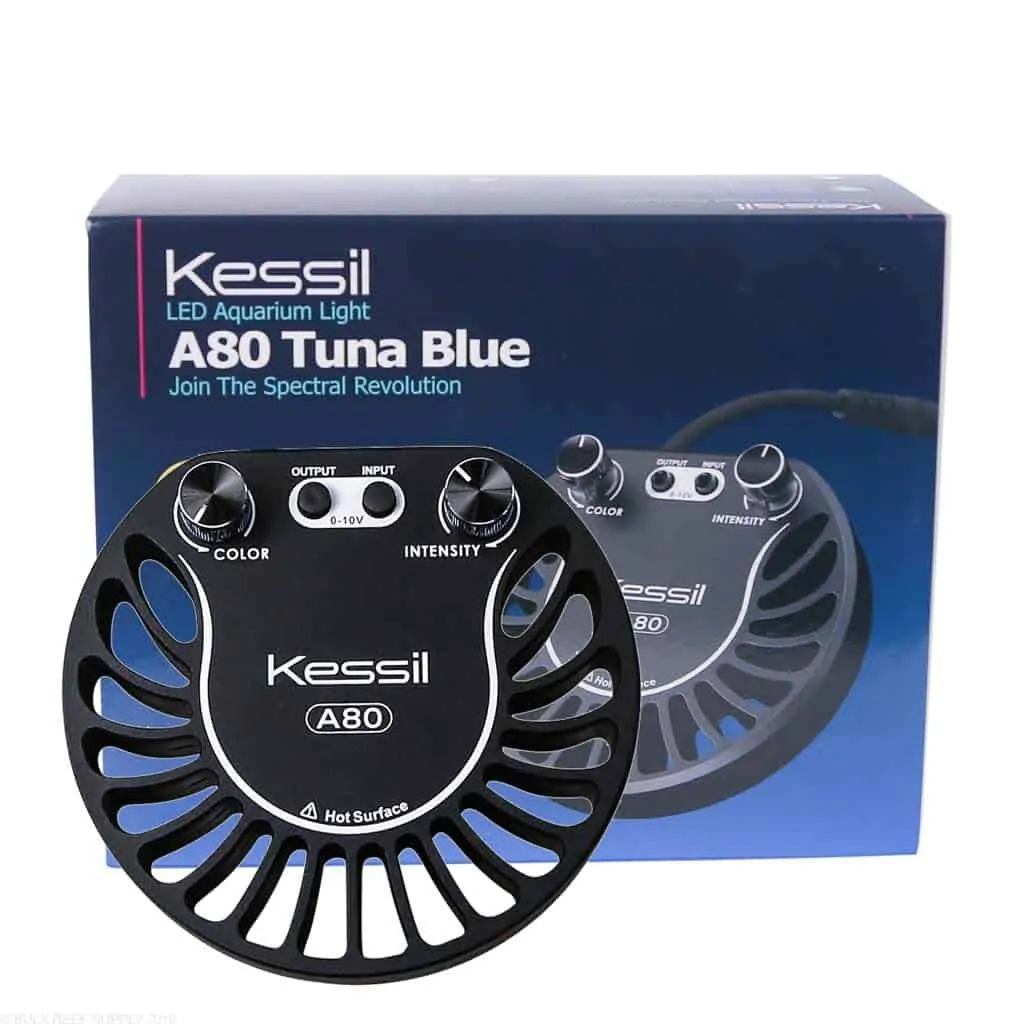 Kessil LED A80 Tuna Blue