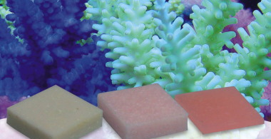 Korallen-Zucht Automatic Elements