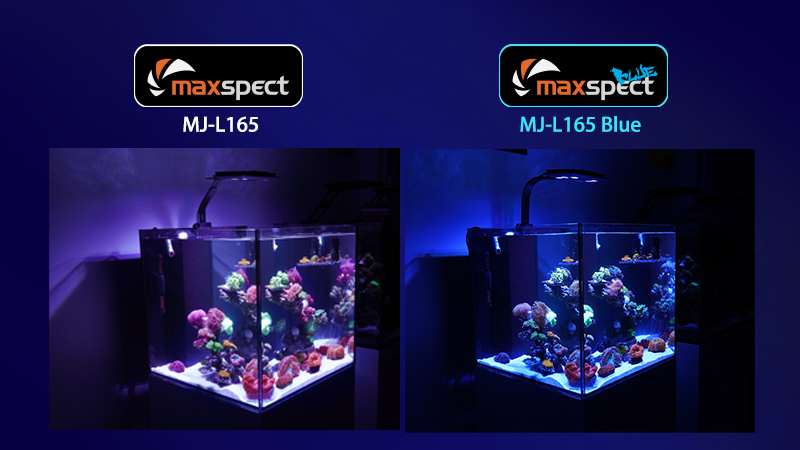 Maxspect Jump MJ-L165 LED armatuur 65watt