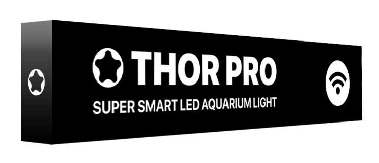 MicMol Thor PRO LED verlichting