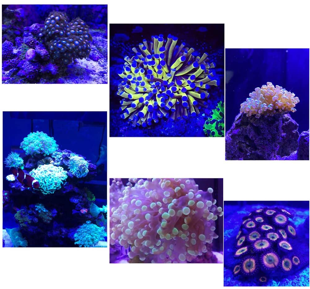 PopBloom S16 Reef LED aquariumlampen