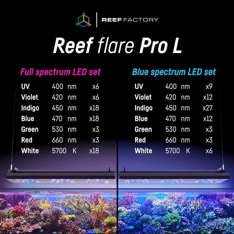 Reef Factory Reef Flare Pro L