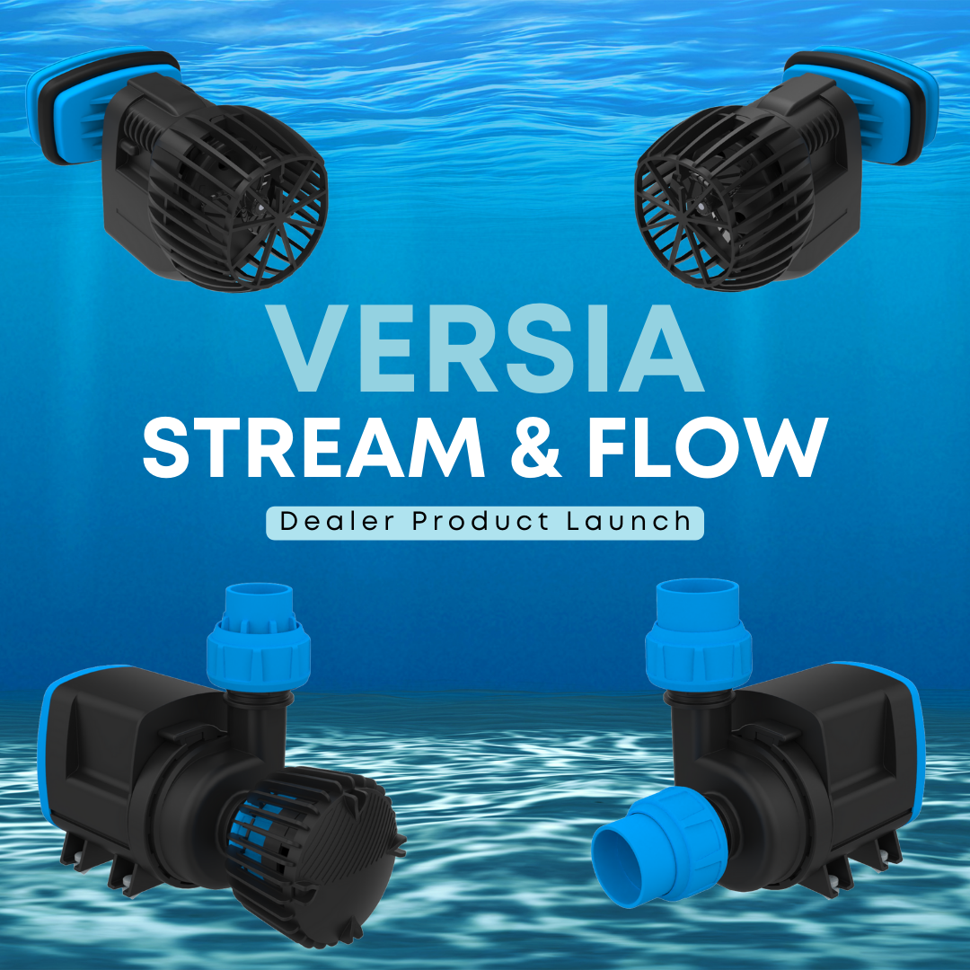 Versia Stream Starter-Set