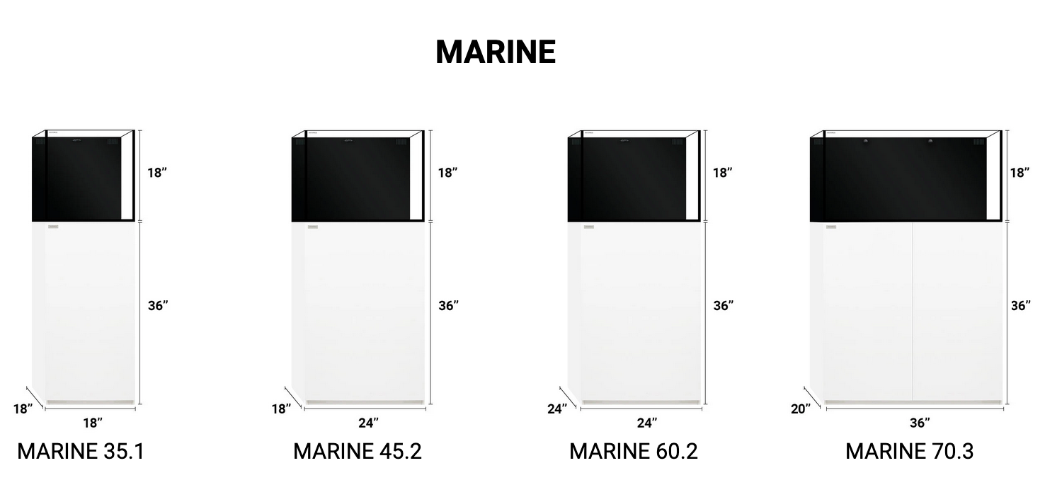 WaterBox marine 60.2
