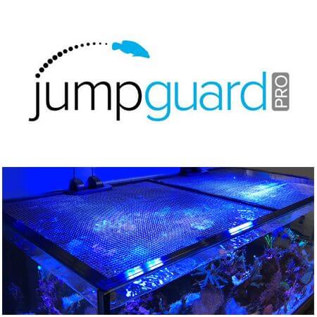 D&D Jumpguard