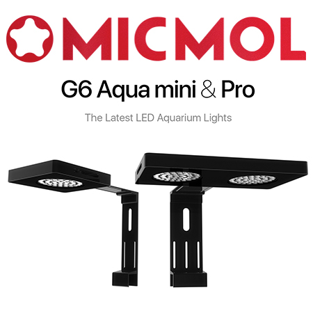 MicMol G6 Aqua mini Pro LED verlichting