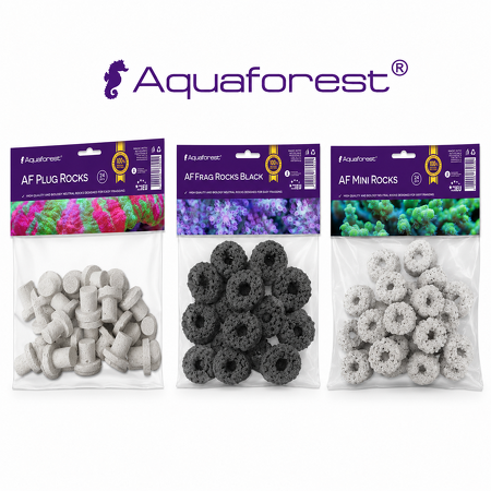 AquaForest stekstenen