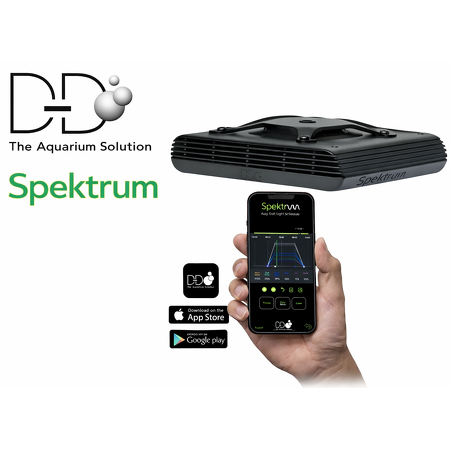 D-D Spektrum LED verlichting