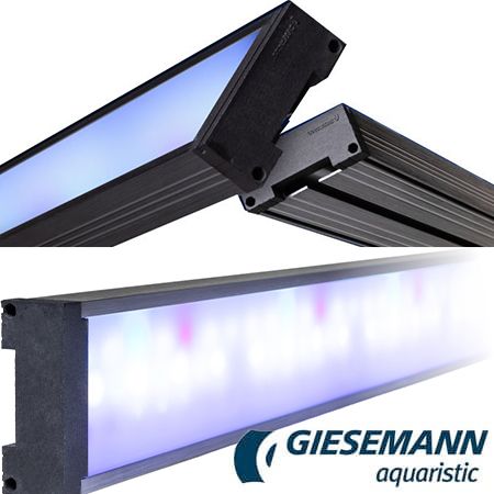 Giesemann Pulzar G3 LED verlichting