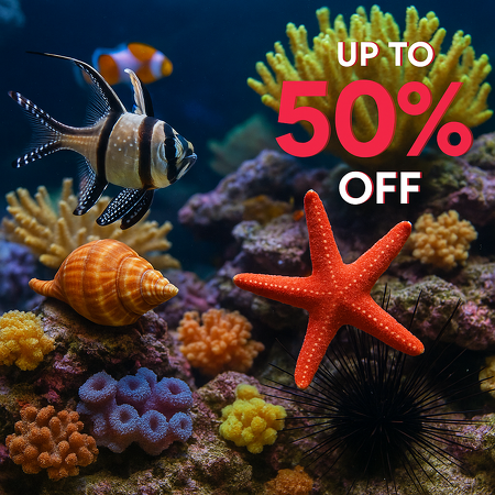 Levende have aanbiedingen! Tot wel 50% korting!