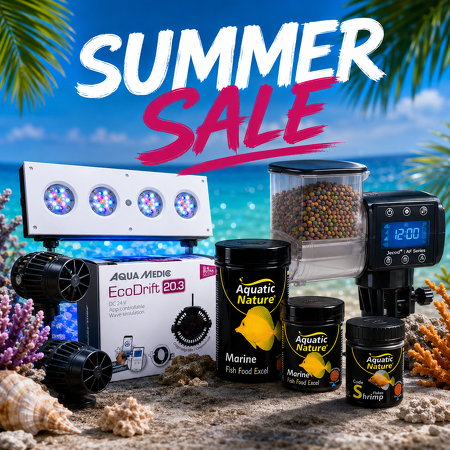 Summer-Sale! Hoge kortingen!