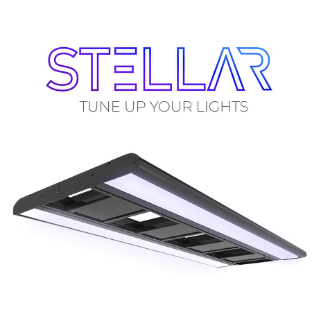 Giesemann Stellar LED marine - 1200 mm - pure white