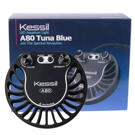 Kessil LED A80 Tuna Blue (Tweedekans)