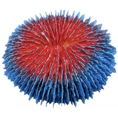 Kunstkoraal Fungia Blauw Rood