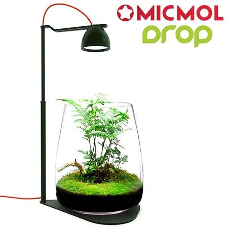 MicMol Drop (Tweedekans)