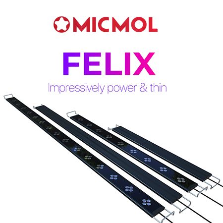 MicMol Felix G2 900 Marine LED-licht (Tweedekans)