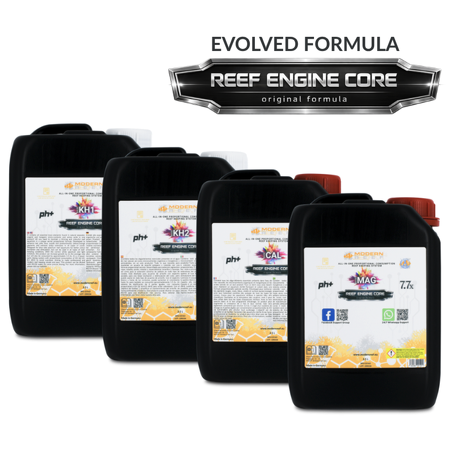 Modern Reef - RKS REEF ENGINE CORE 7.7x High Concentrate - 4&times;2500 ml