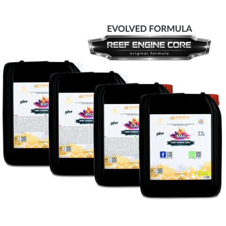 Modern Reef - RKS REEF ENGINE CORE 7.7x High Concentrate - 4&times;5000 ml
