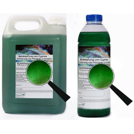 Plankton24 - Synechococcus met zooplankton (tegen cyaanafzettingen) 1 Liter