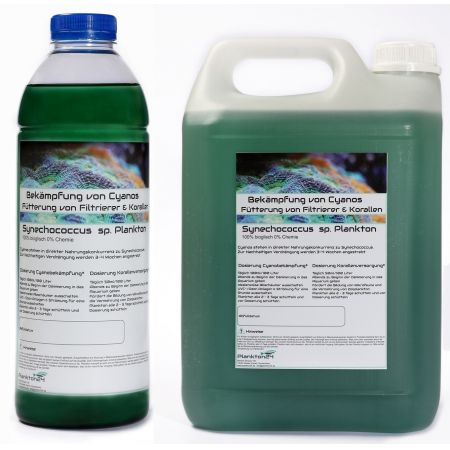 Plankton24 Synechococcus (tegen cyaanafzettingen) 1 Liter