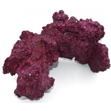 Real Reef Rock - Real Reef Arches XXL - 1 stuk in doos (Circa 50cm)