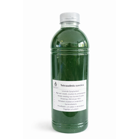 ReefBucket - Tetraselmis suecica - 1000 ml