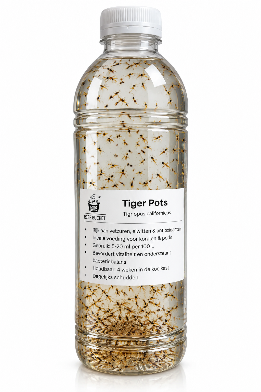 ReefBucket Tigriopus californicus | Levende Tigerpods (250 ml)